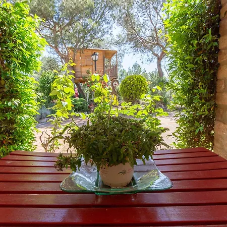 Catalunya Casas Peaceful Perfection , Only 30km From Barcelona! Villa